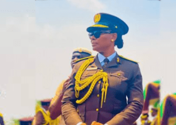 NIS boss suspends comptrollers, orders probe into alleged border extortion