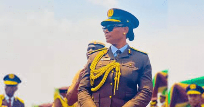 NIS boss suspends comptrollers, orders probe into alleged border extortion