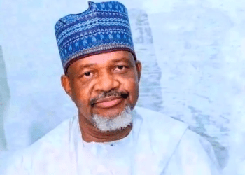 Kebbi assembly speaker Usman-Zuru dies in Egypt