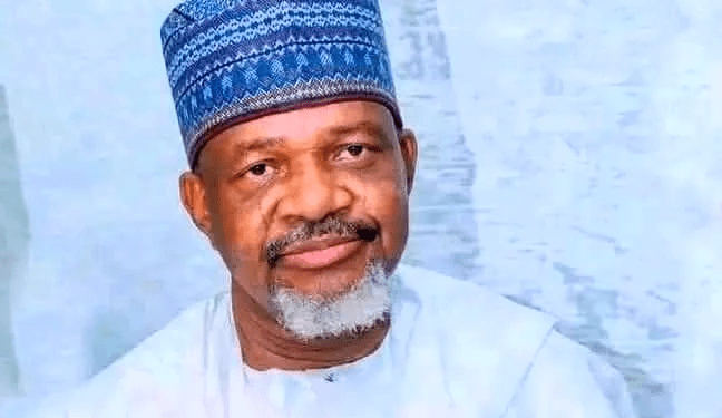 Kebbi assembly speaker Usman-Zuru dies in Egypt