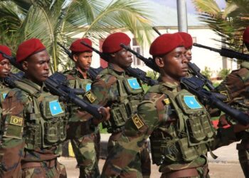Somali forces kill 27 al-Shabaab terrorists in ‘large-scale operation’: Defense Ministry