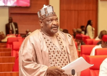 Nigerians are to blame for poverty, corruption, insecurity in country: Senator Ningi
