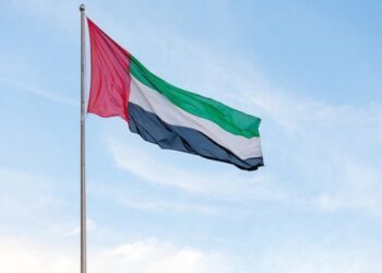 UAE withdraws from OPEC amid shifting global energy strategy