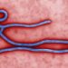 EXPLAINER – What to know as Ebola outbreak raises global alarm