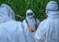 EU says Ebola infection risk in bloc remains ‘very low’ despite Africa outbreak concerns
