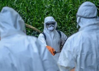 EU says Ebola infection risk in bloc remains ‘very low’ despite Africa outbreak concerns