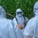 EU says Ebola infection risk in bloc remains ‘very low’ despite Africa outbreak concerns