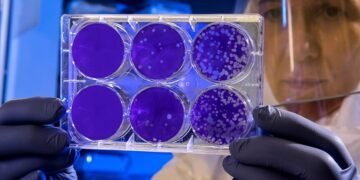 Samples from Italian man with suspected hantavirus sent to hospital: Report