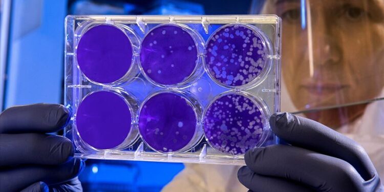 Samples from Italian man with suspected hantavirus sent to hospital: Report