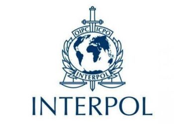 Interpol nabs 201 suspects in months-long, 13-country crackdown on cybercriminals