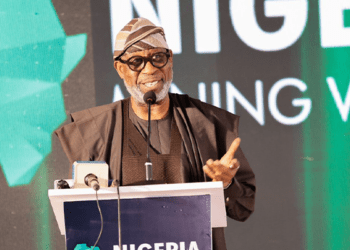 Fuel subsidy removal saved Nigeria’s economy from collapse: Alake