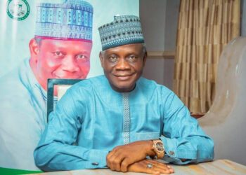 Kpautagi wins Niger ADC governorship ticket