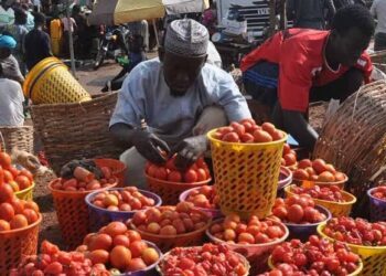 Eid-el-Kabir: Tomatoes hit N130,000 per basket, pepper N57,000 in Minna markets