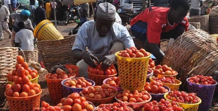 Eid-el-Kabir: Tomatoes hit N130,000 per basket, pepper N57,000 in Minna markets