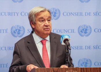 UN chief appoints Mohamed El-Amine Souef as special representative for Central Africa