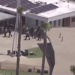 Three killed at San Diego mosque, two suspects found dead