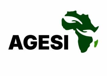 Nigeria’s climate action plan ‘uninvestable’ due to weak governance, enforcement gaps: AGESI