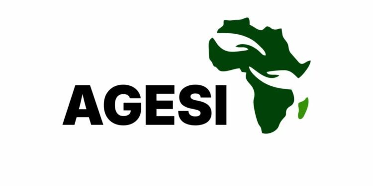 Nigeria’s climate action plan ‘uninvestable’ due to weak governance, enforcement gaps: AGESI