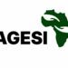 Nigeria’s climate action plan ‘uninvestable’ due to weak governance, enforcement gaps: AGESI