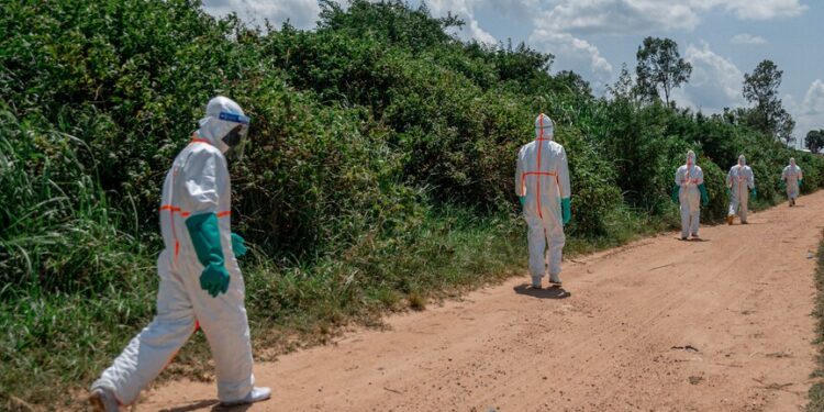 Rebels kill 5 civilians, several missing amid Ebola spread in eastern DR Congo