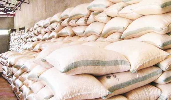 FG secures fertiliser supply for 2026 wet season
