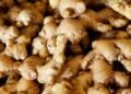 Ginger prices soar in Lagos amid supply shortages, transportation cost