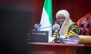 Speakers hail National Assembly’s passage of state police bill, pledge assemblies’ thorough review