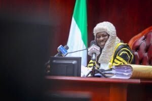 Speakers hail National Assembly’s passage of state police bill, pledge assemblies’ thorough review