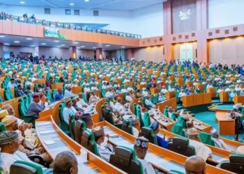 Minority Leader Race: Signature forgery allegation against Ugochinyere stirs rowdy session in Reps