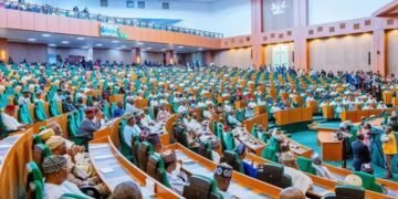 Minority Leader Race: Signature forgery allegation against Ugochinyere stirs rowdy session in Reps