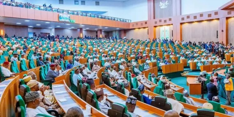 Minority Leader Race: Signature forgery allegation against Ugochinyere stirs rowdy session in Reps