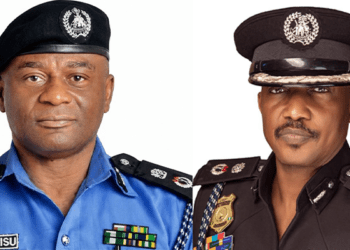 Alleged Murder: Widow, detained children sue IGP Disu for illegal detention