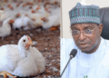 FG launches $350,000 FAO project to battle bird flu in Nigeria
