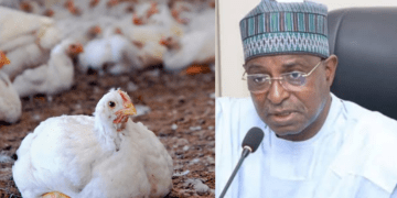 FG launches $350,000 FAO project to battle bird flu in Nigeria