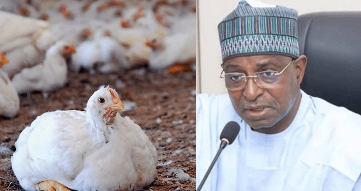 FG launches $350,000 FAO project to battle bird flu in Nigeria