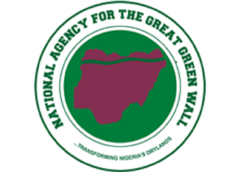 Nigeria reaffirms commitment to advancing global environment governance