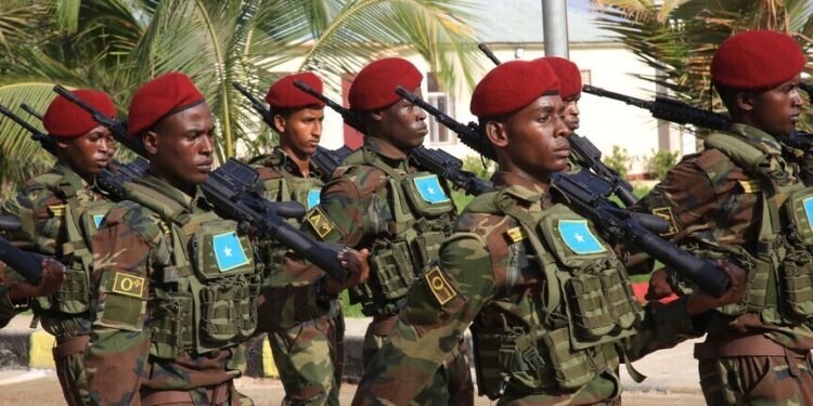 Somalia security operations kill at least 28 al-Shabaab terrorists