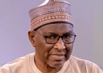 Nigeria needs public sector audit to strengthen democracy: Auditor-General