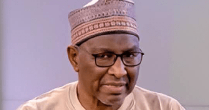 Nigeria needs public sector audit to strengthen democracy: Auditor-General