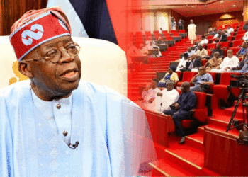Eight things Nigerians should know about Tinubu’s state police bill