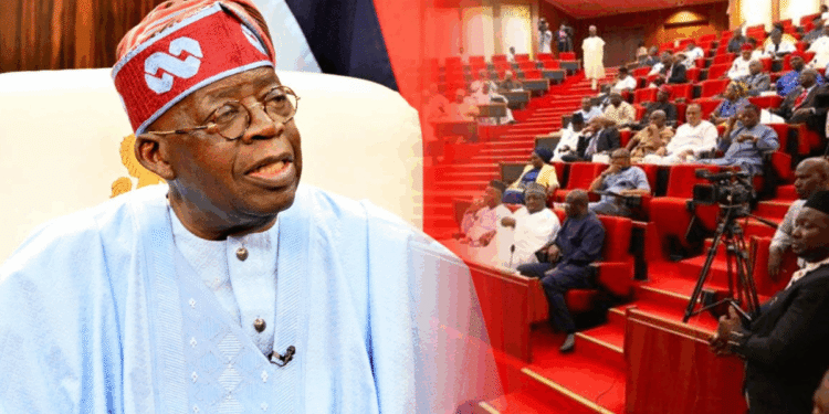 Eight things Nigerians should know about Tinubu’s state police bill