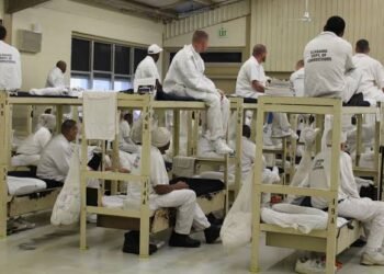 Nigeria, Ghana have highest number of African inmates in U.S. federal prisons: Document