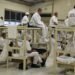 Nigeria, Ghana have highest number of African inmates in U.S. federal prisons: Document