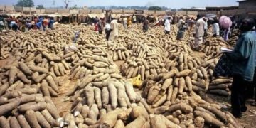 Traders decry low sales as yam prices rise in Kwara