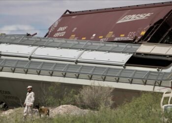 9 killed as passenger bus collides with goods train in Zimbabwe