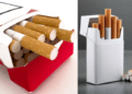 Cancer Society seeks strict implementation of Tobacco Control Act
