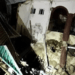 Several students trapped as three-storey hostel collapses in Anambra