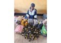 Chadian woman supplying hard drugs to Boko Haram/ISWAP terrorists nabbed: Military
