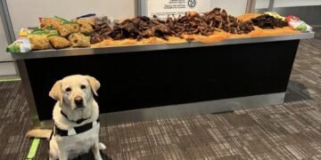 Police dog exposes Nigerian traveller with hidden guinea fowl, goat meat package at Canada airport
