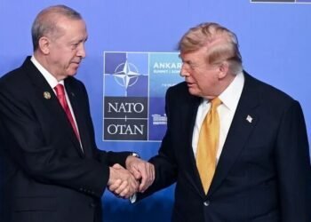 Turkish President Erdogan holds intensive diplomatic talks during NATO summit in Ankara